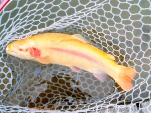 2月7日(土)　三鷹市　くにザイルさん