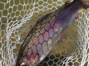 2月14日（土）三鷹市　くにザイル　さん