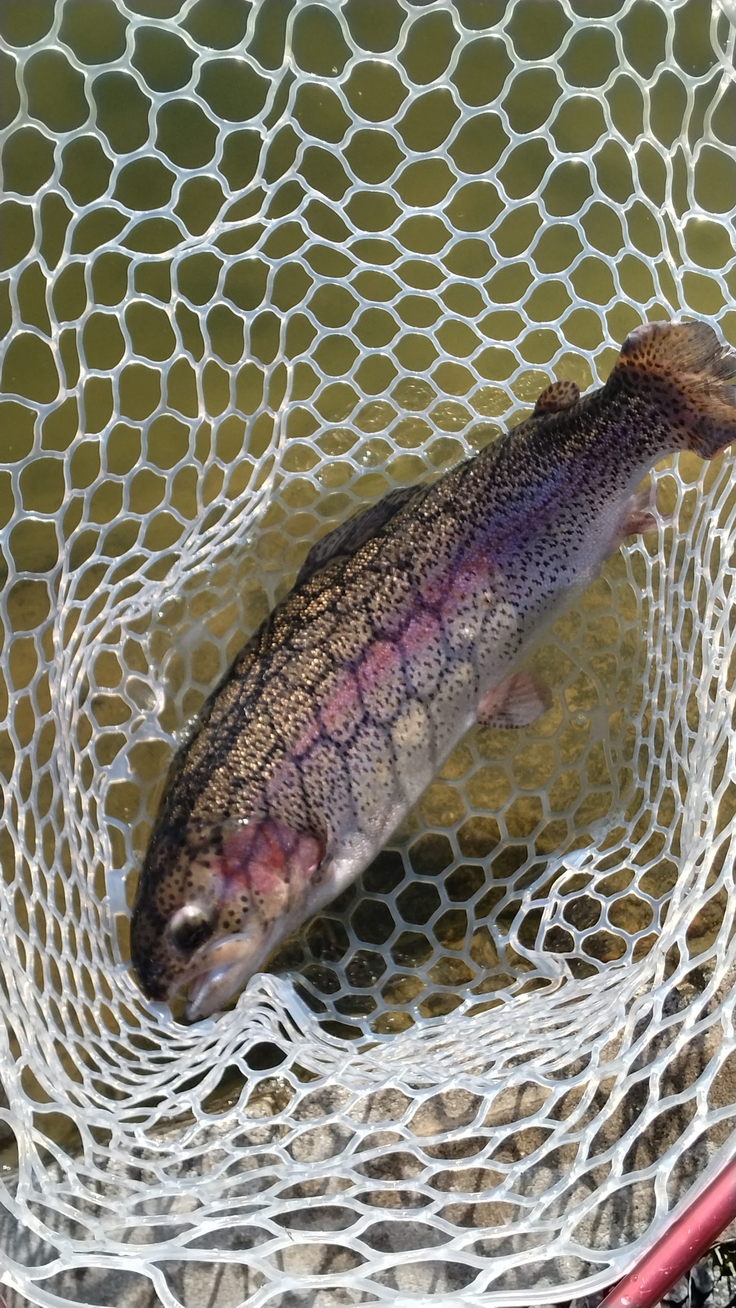 2月14日(土)三鷹市 くにザイル さん