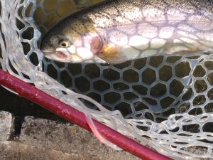 2月21日(土)　三鷹市　くにザイルさん