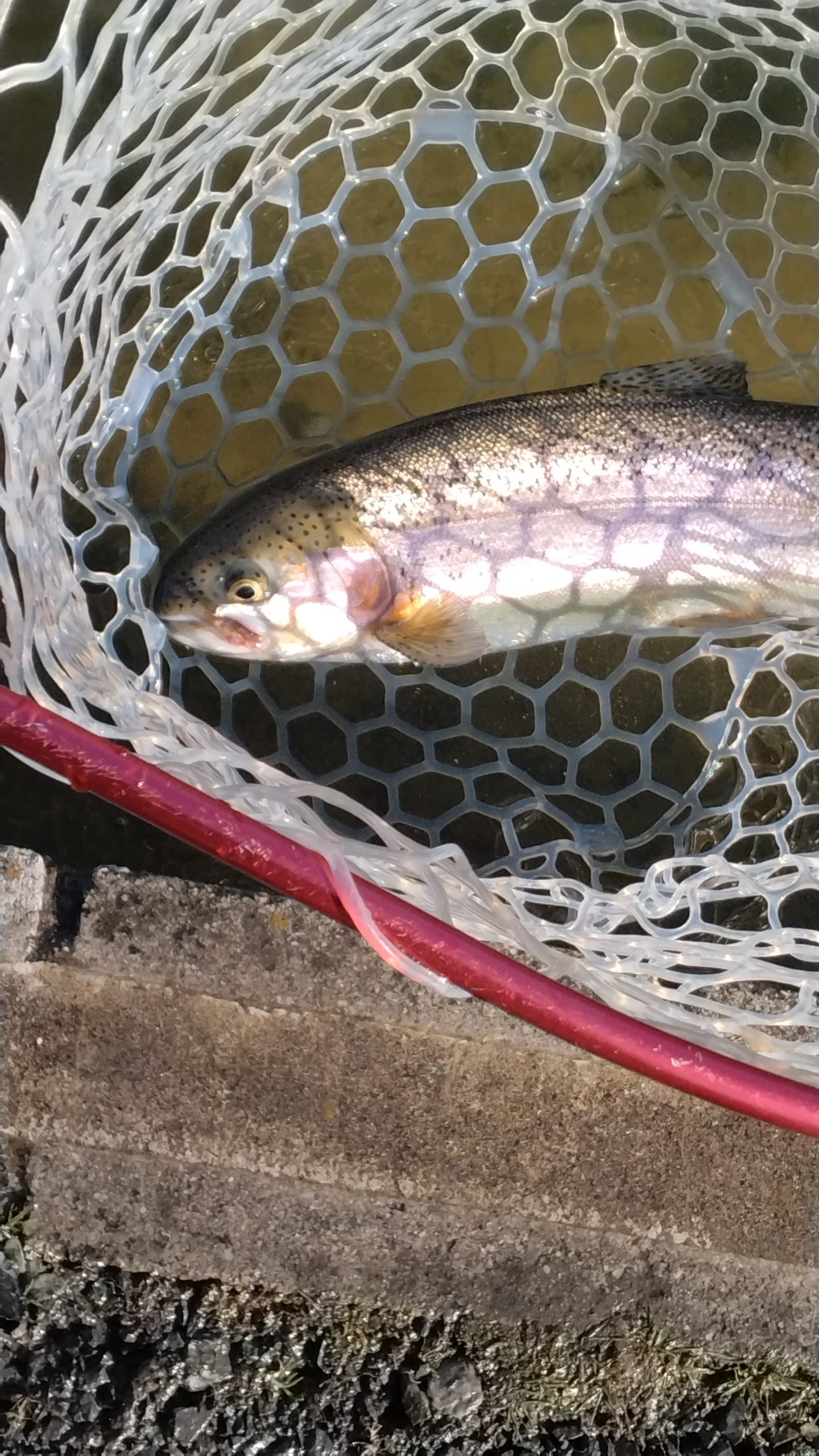 2月21日(土)　三鷹市　くにザイルさん