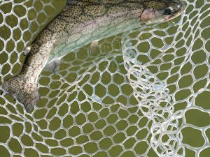 2月23日（月・祝）日の出町　田村さん