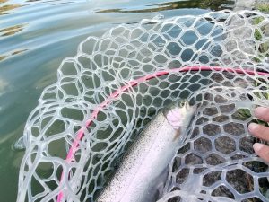 2月18日（水）坂戸市　ｋさん