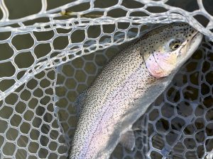 2月6日（金）三芳町　cima cimaさん