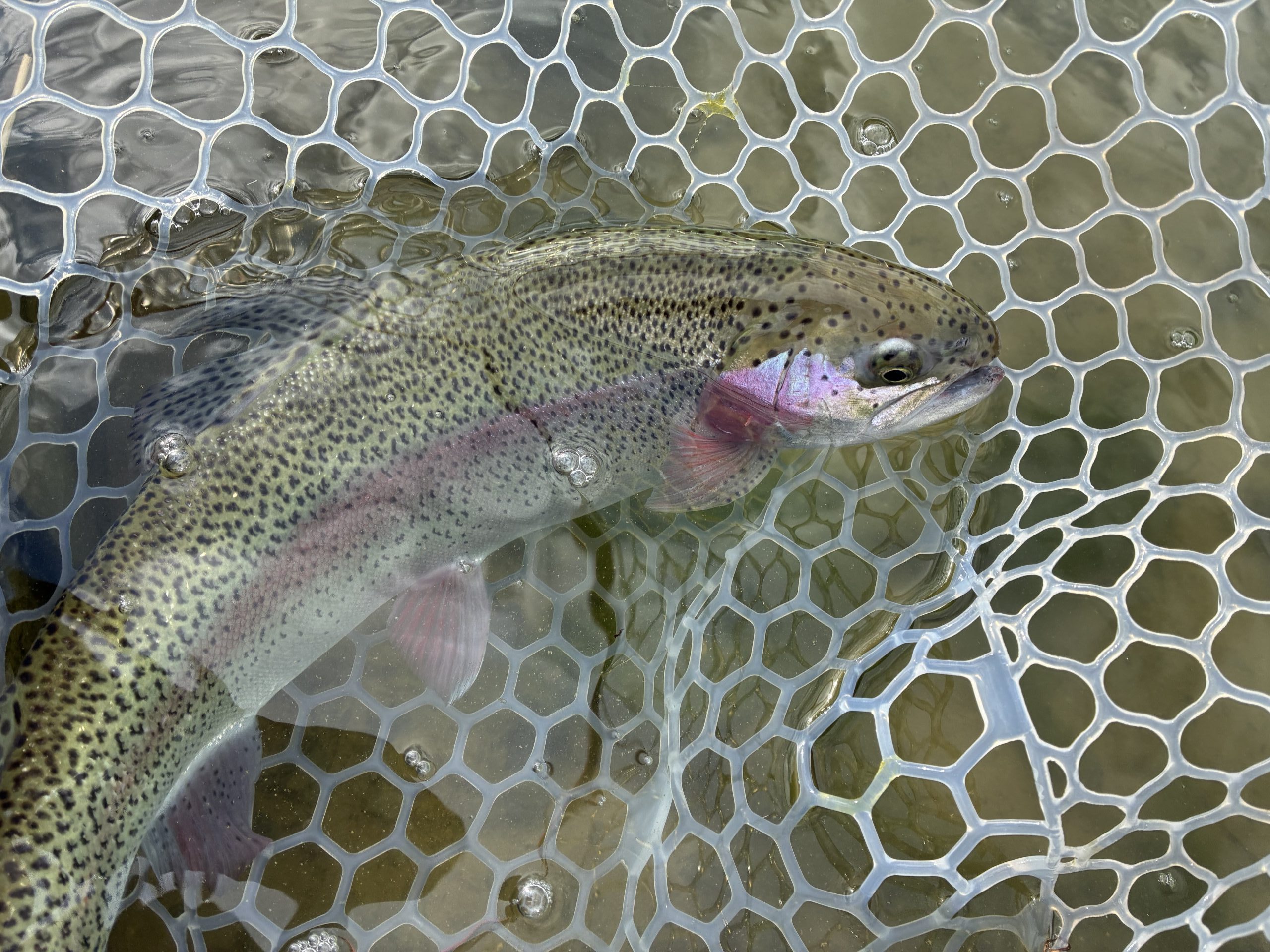 2月13日（金）三芳町　cima cimaさん