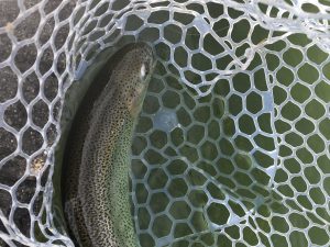 2月14日（土）八王子市　Mookie　さん