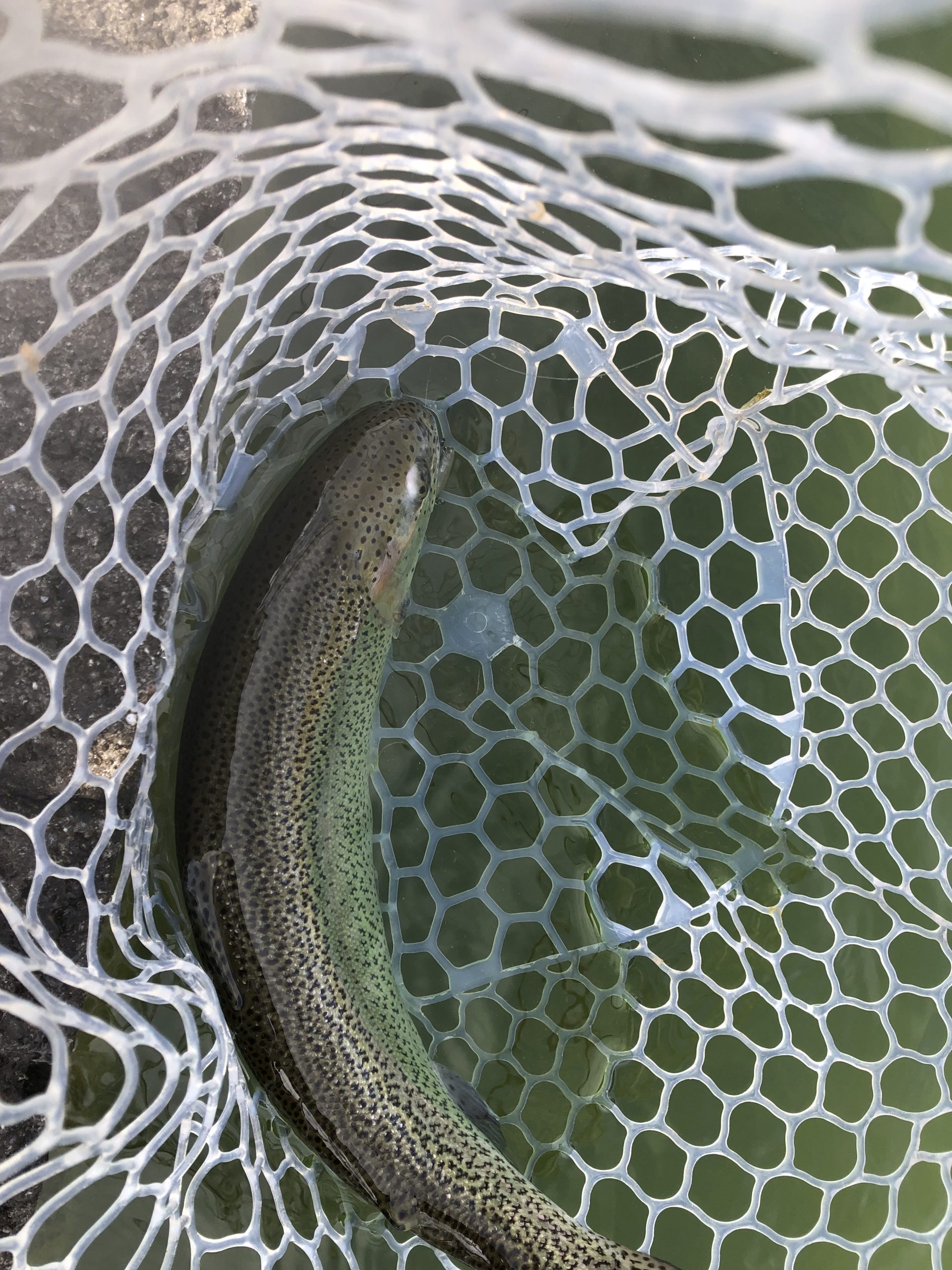 2月14日（土）八王子市　Mookie　さん