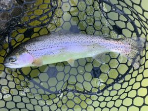 2月1日（日）国立市　K.Tさん