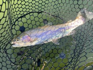 2月4日（水）　国立市　K.Tさん