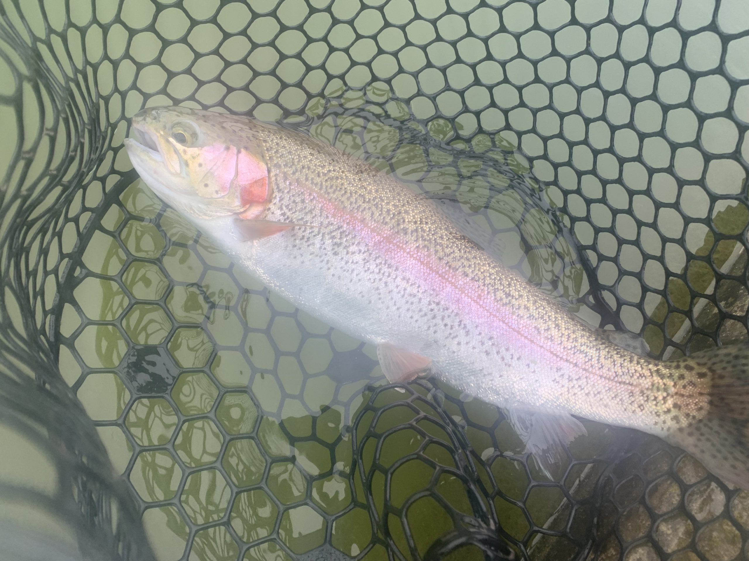 2月11日（水）国立市　K.Tさん