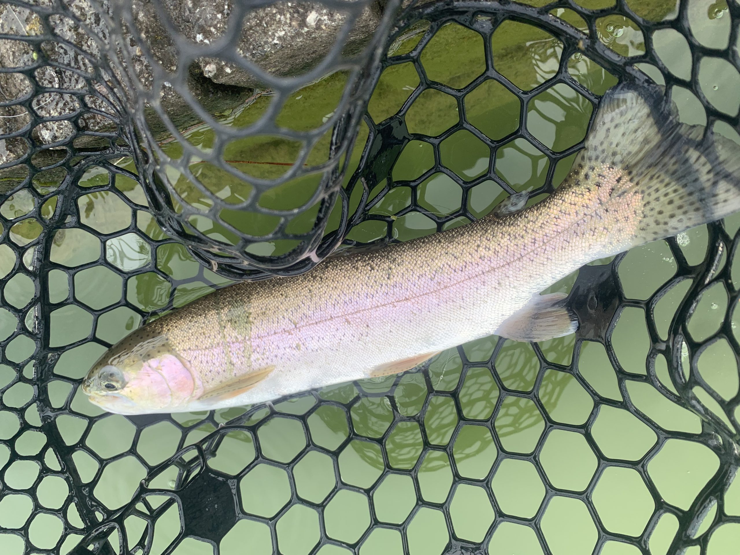 2月14日（土）国立市　K.T　さん