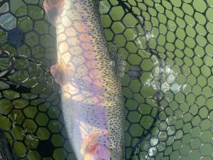 2月18日(水)　国立市　K.Tさん