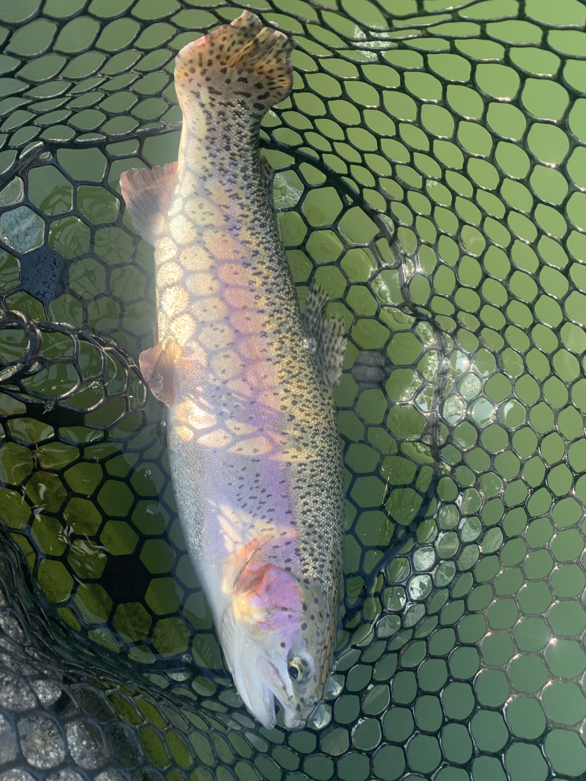 2月18日(水)　国立市　K.Tさん