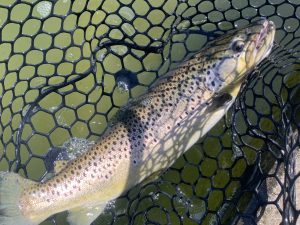 2月21日(土)　国立市　K.Tさん