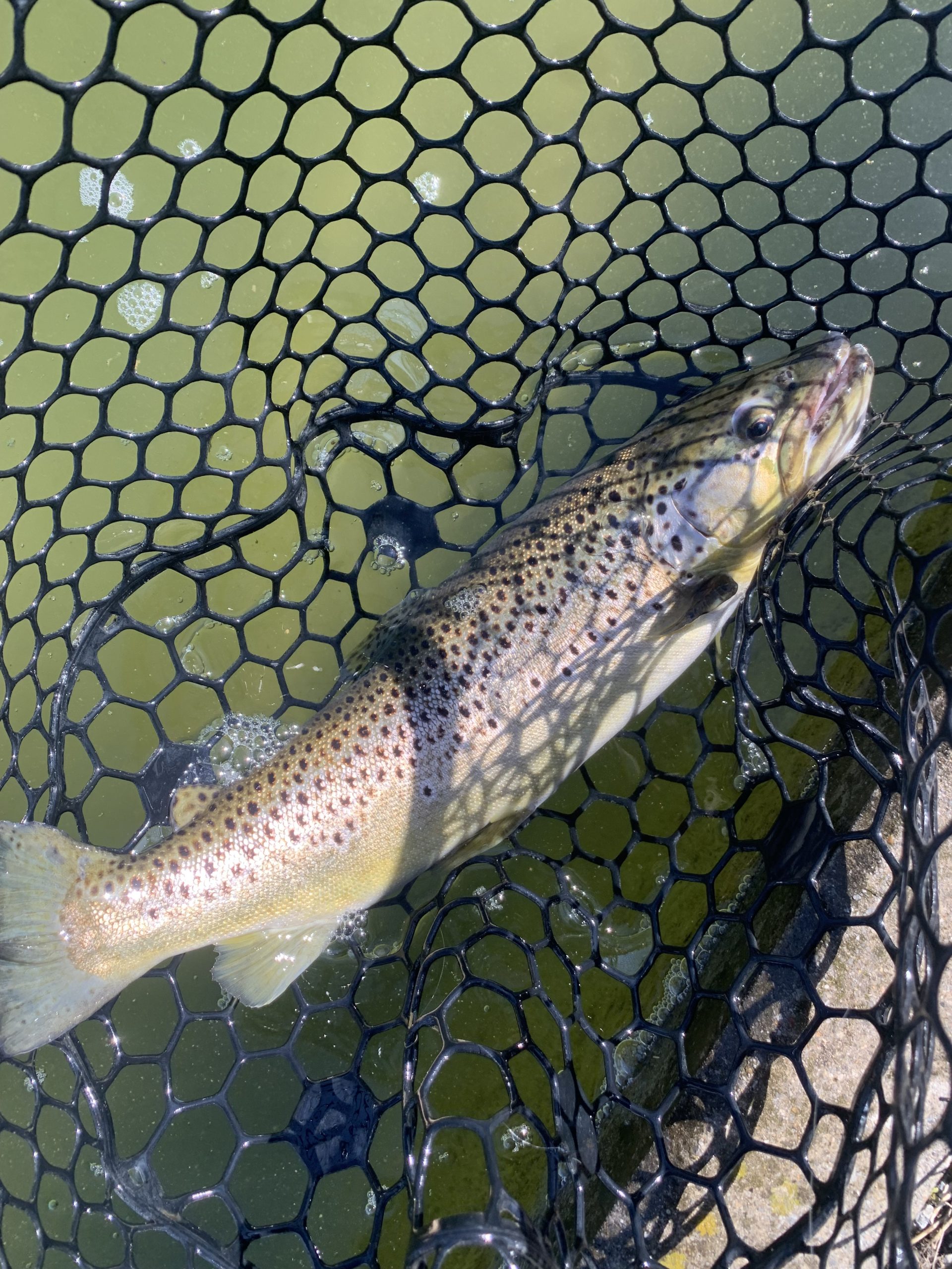 2月21日(土)　国立市　K.Tさん