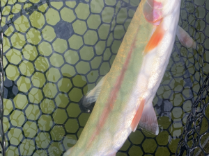 2月25日(水)　国立市　K.Tさん