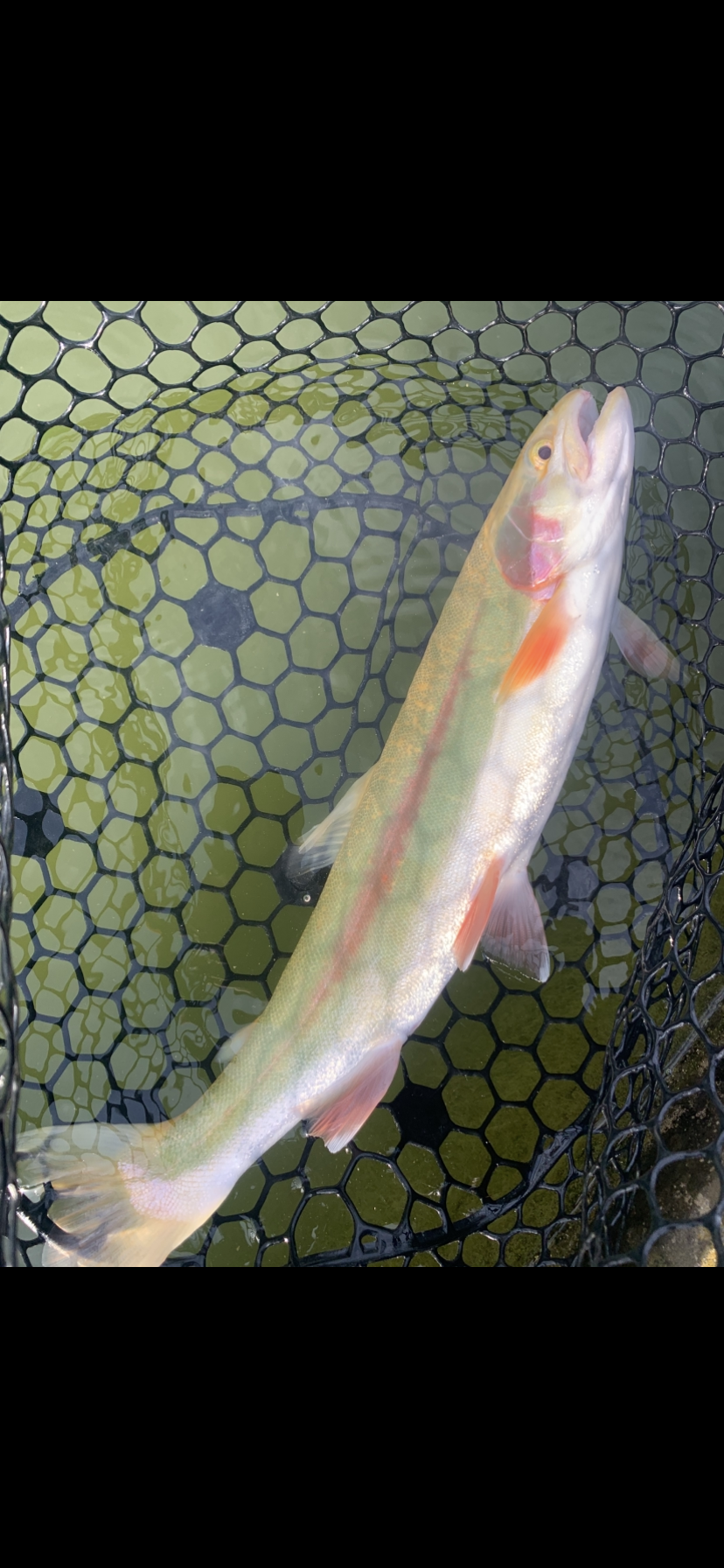 2月25日(水)　国立市　K.Tさん