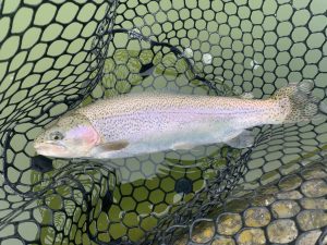 2月27日（金）国立市　K.Tさん