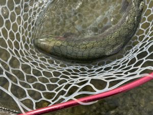 2月27日(金)　八王子市　HGさん