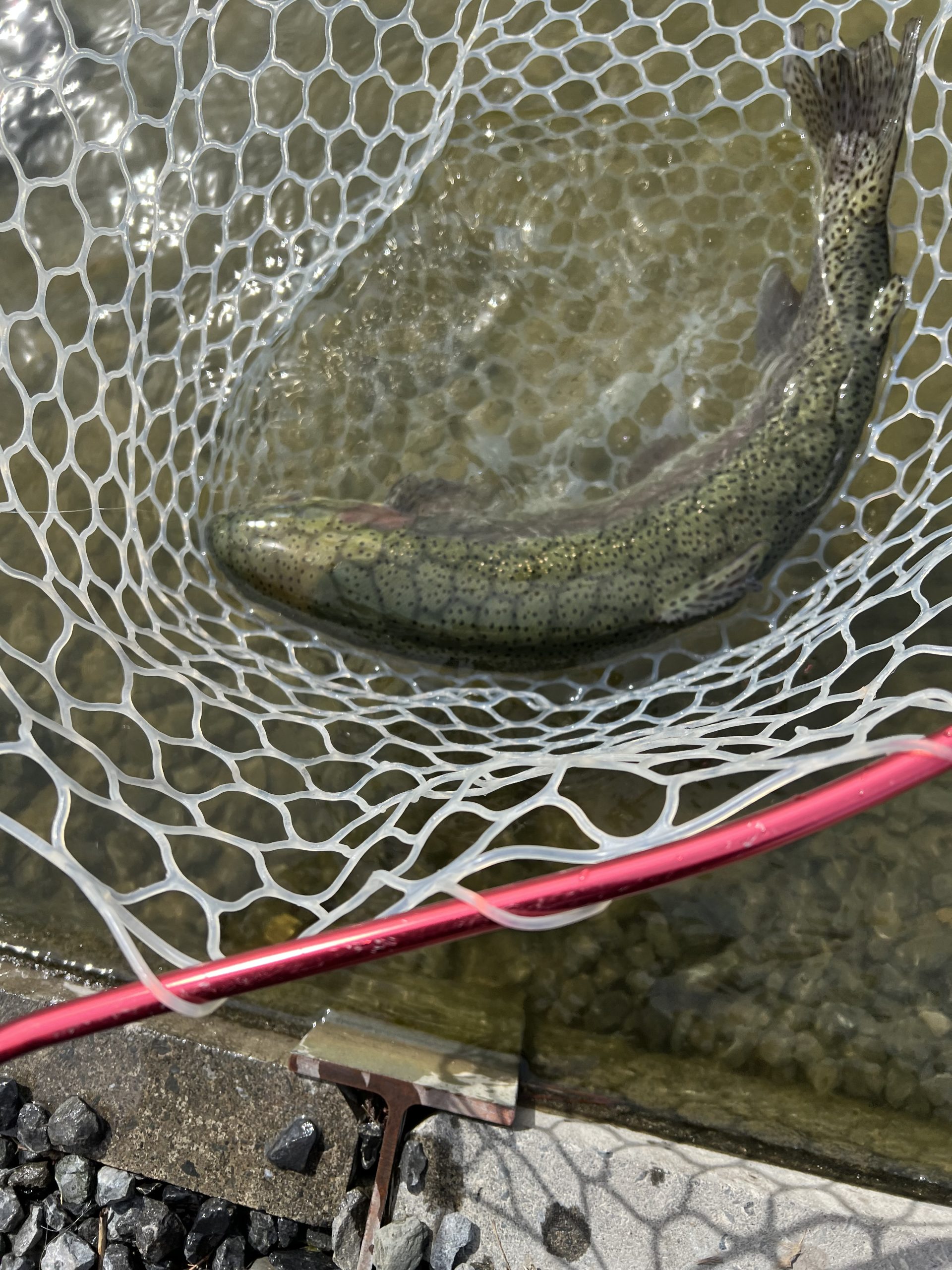 2月27日(金)　八王子市　HGさん