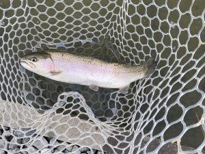 2月20日（金）浦安市　kp　さん