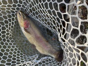 2月13日（金）あきる野市　野口さん