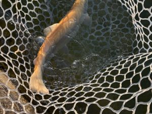 2月21日(土)　あきる野市　野口さん