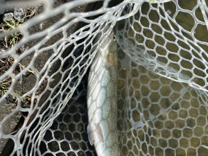 2月27日(金)　あきる野市　野口さん