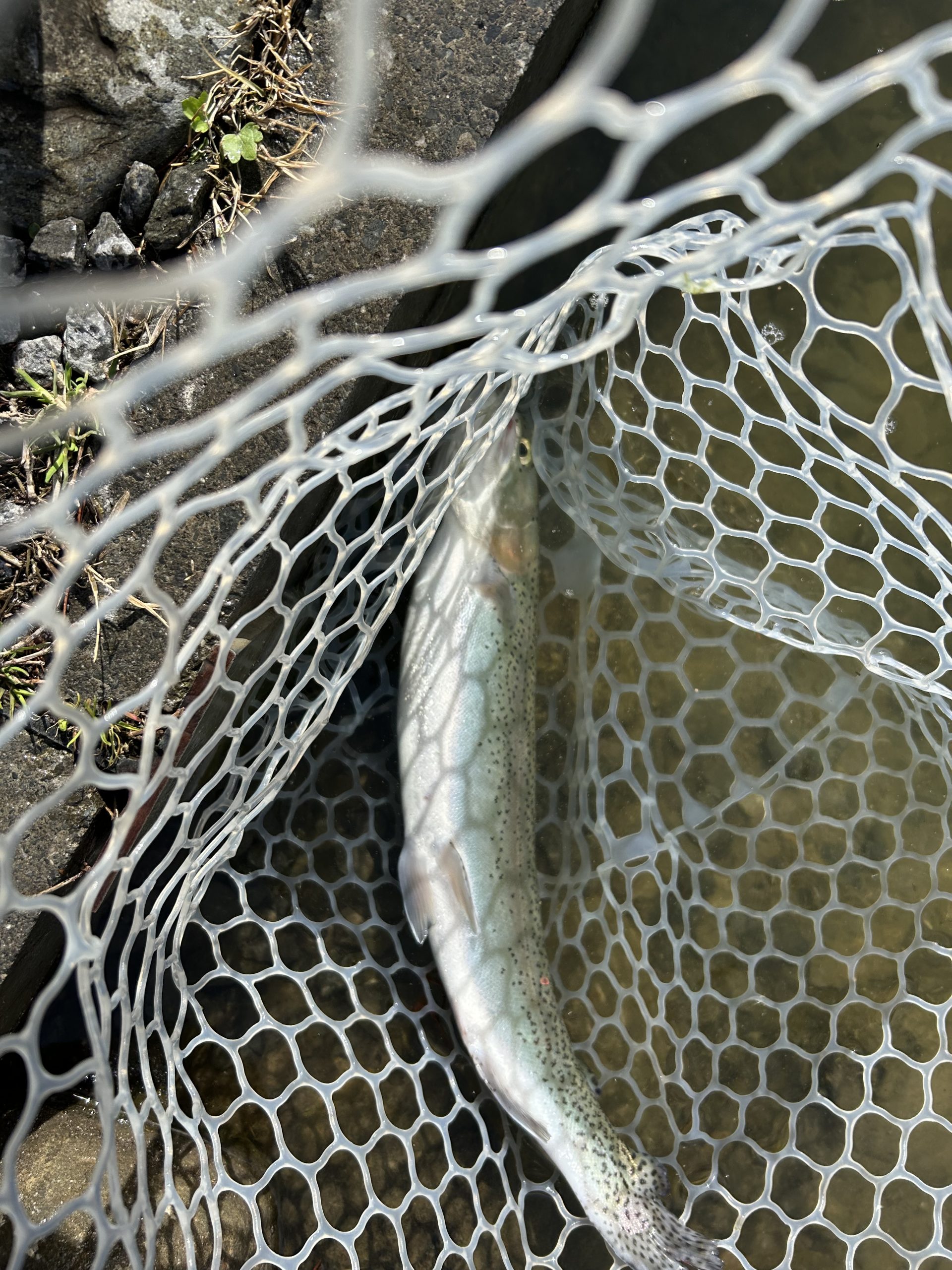 2月27日(金) あきる野市 野口さん