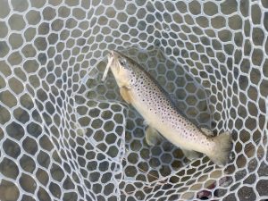 2月22日（日）　日野市　よっちゃんさん