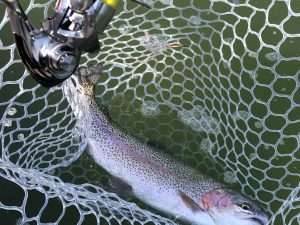 2月22日（日）日野市　オグさん