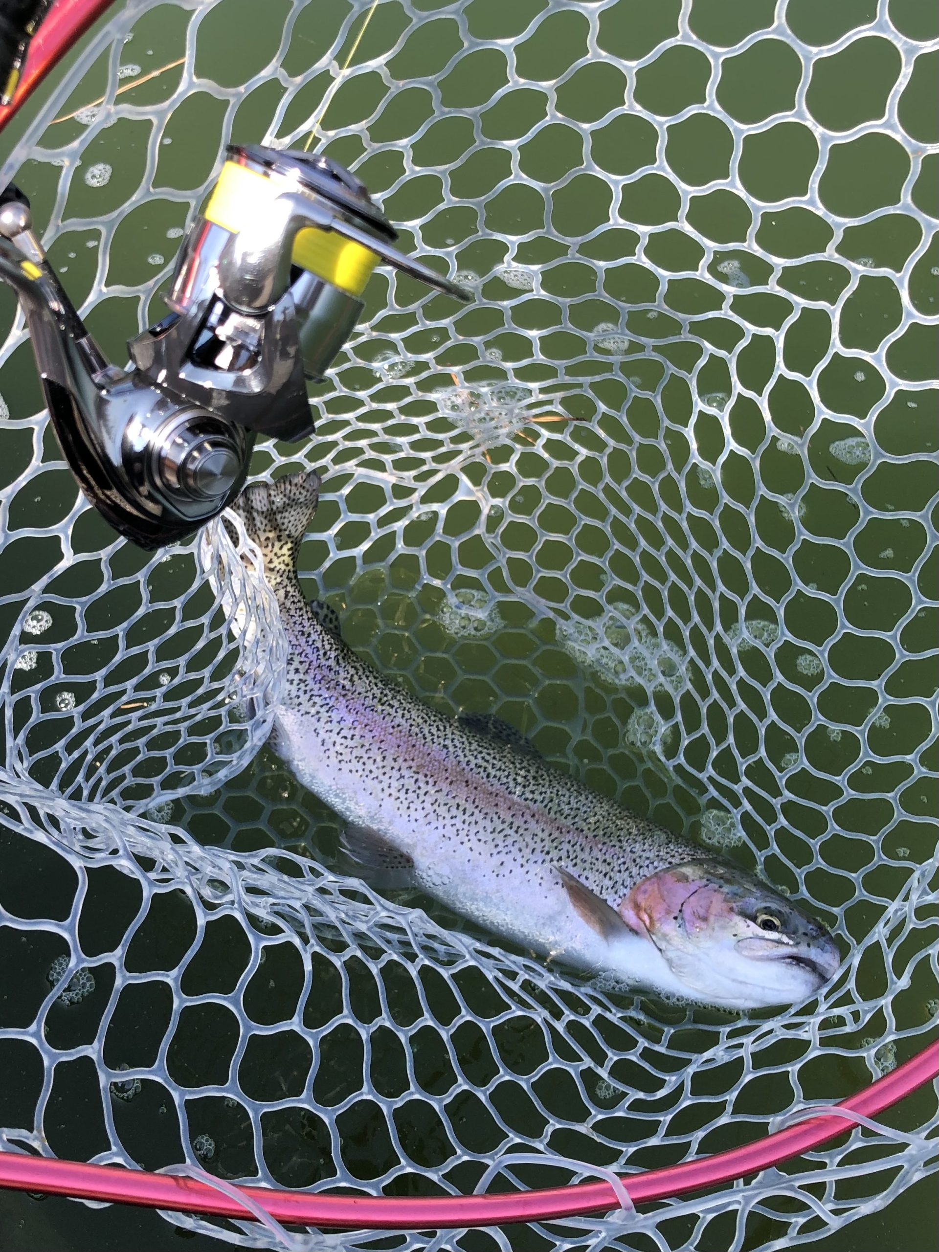 2月22日(日)日野市 オグさん