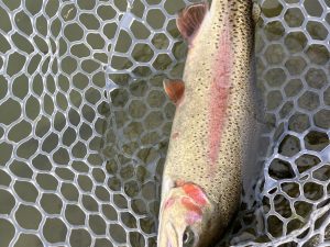 2月7日(土)　羽村市　うにねこさん