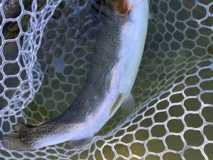 2月21日(土)　羽村市　うにねこさん