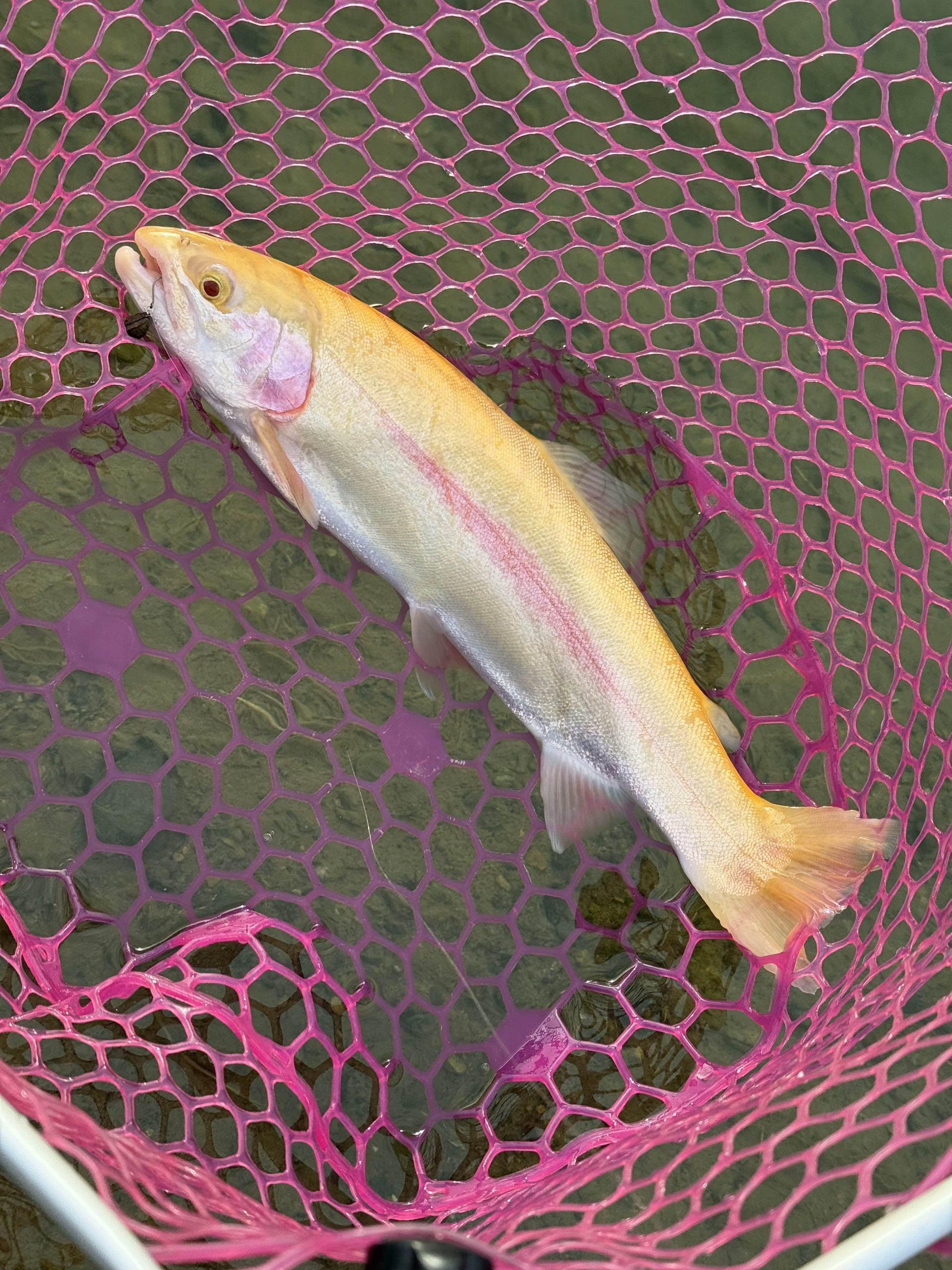 2月4日（水）八王子市　Bさん