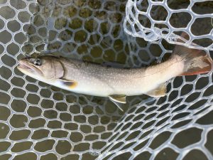 ２月24日（月・祝）中野区　NOBU　さん