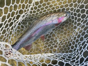 2月14日（土）所沢市　よね郷　さん