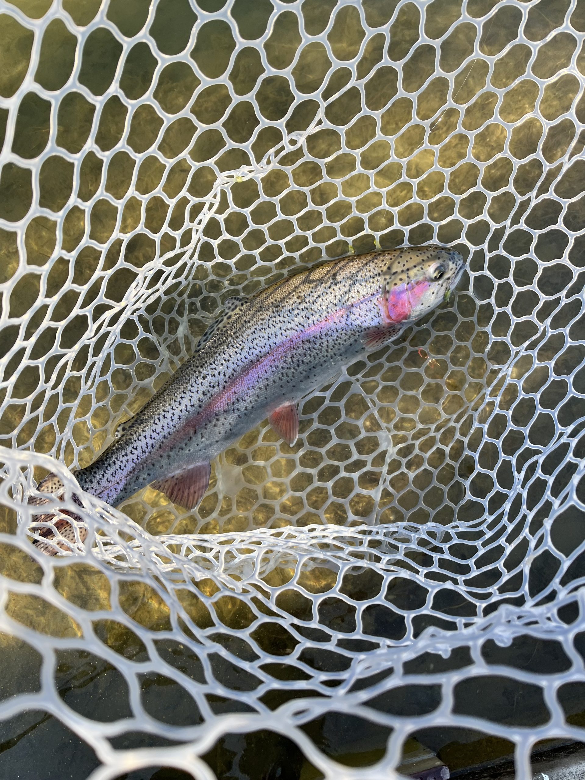 2月14日（土）所沢市　よね郷　さん