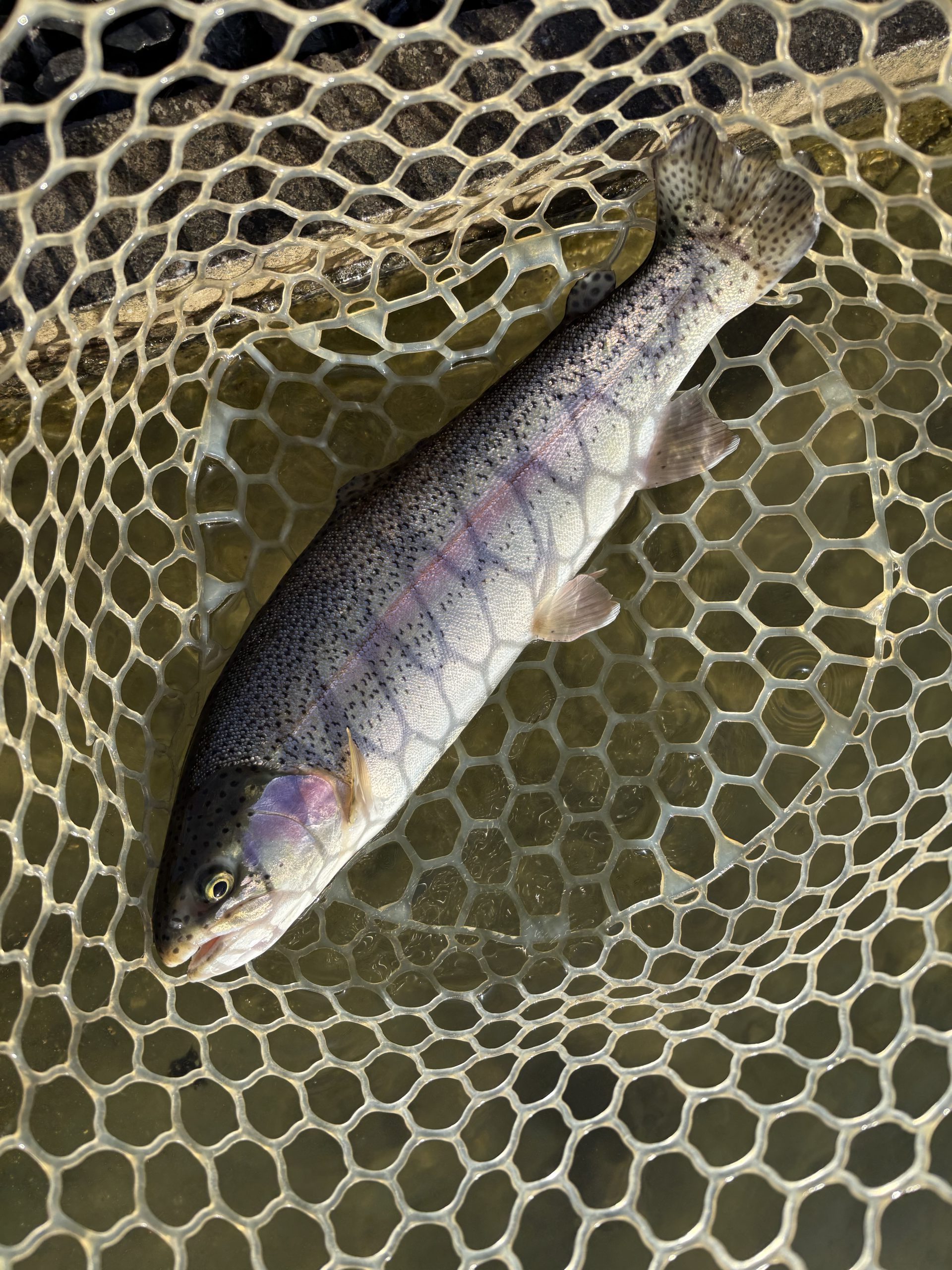 2月4日（水）青梅市　鈴木さん