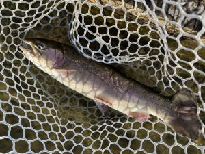 2月9日（月）青梅市　鈴木さん