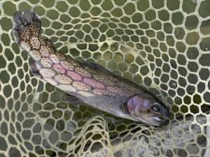 2月21日(土)　青梅市　鈴木さん