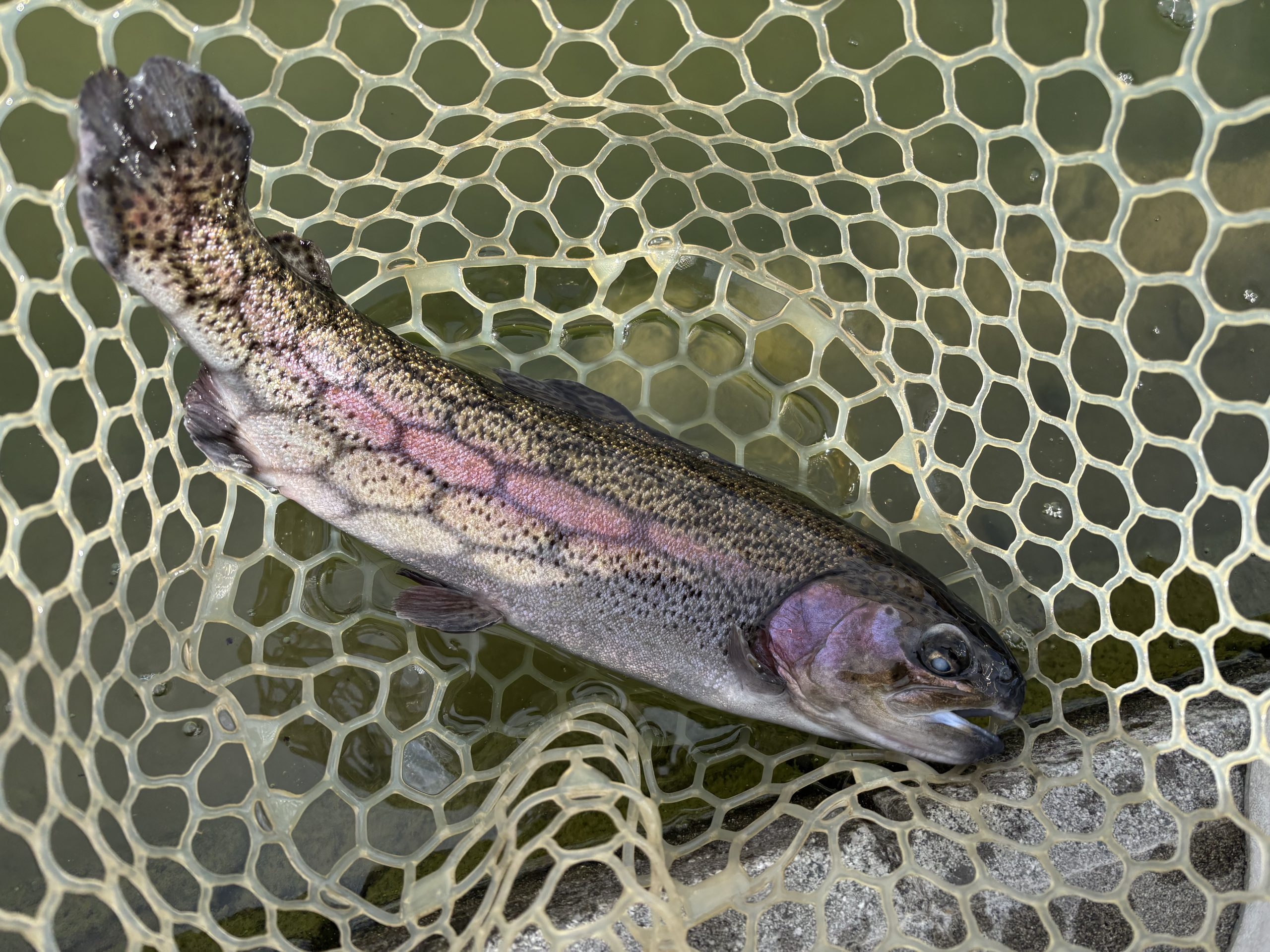 2月21日(土)　青梅市　鈴木さん