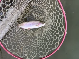 2月20日（金）入間市　大西さん