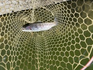 2月28日（土）入間市　大西さん