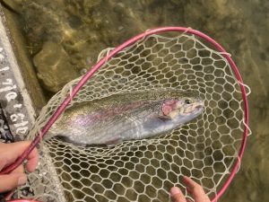 2月16日（月）昭島市　まっちゃんさん