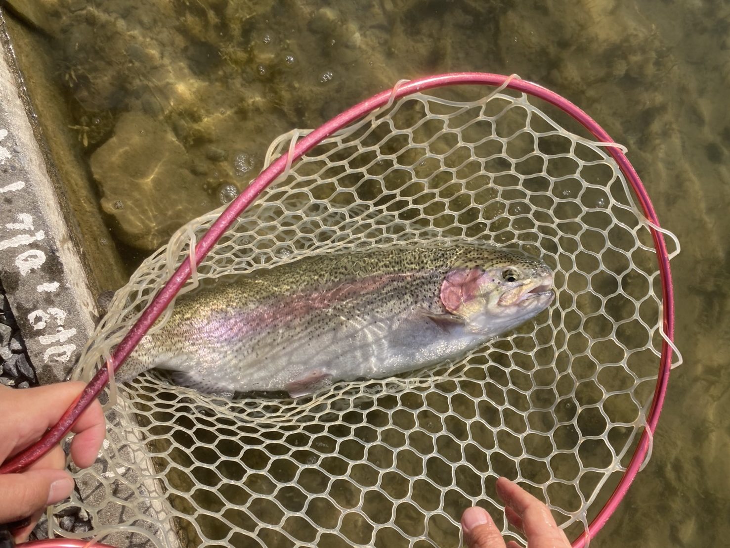 2月16日（月）昭島市　まっちゃんさん