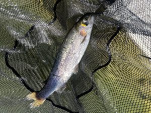 2月1日（日）町田市　から揚げ班長さん