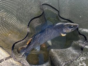 2月6日（金）町田市　から揚げ班長さん