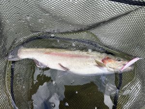 2月13日（金）町田市　から揚げ班長さん