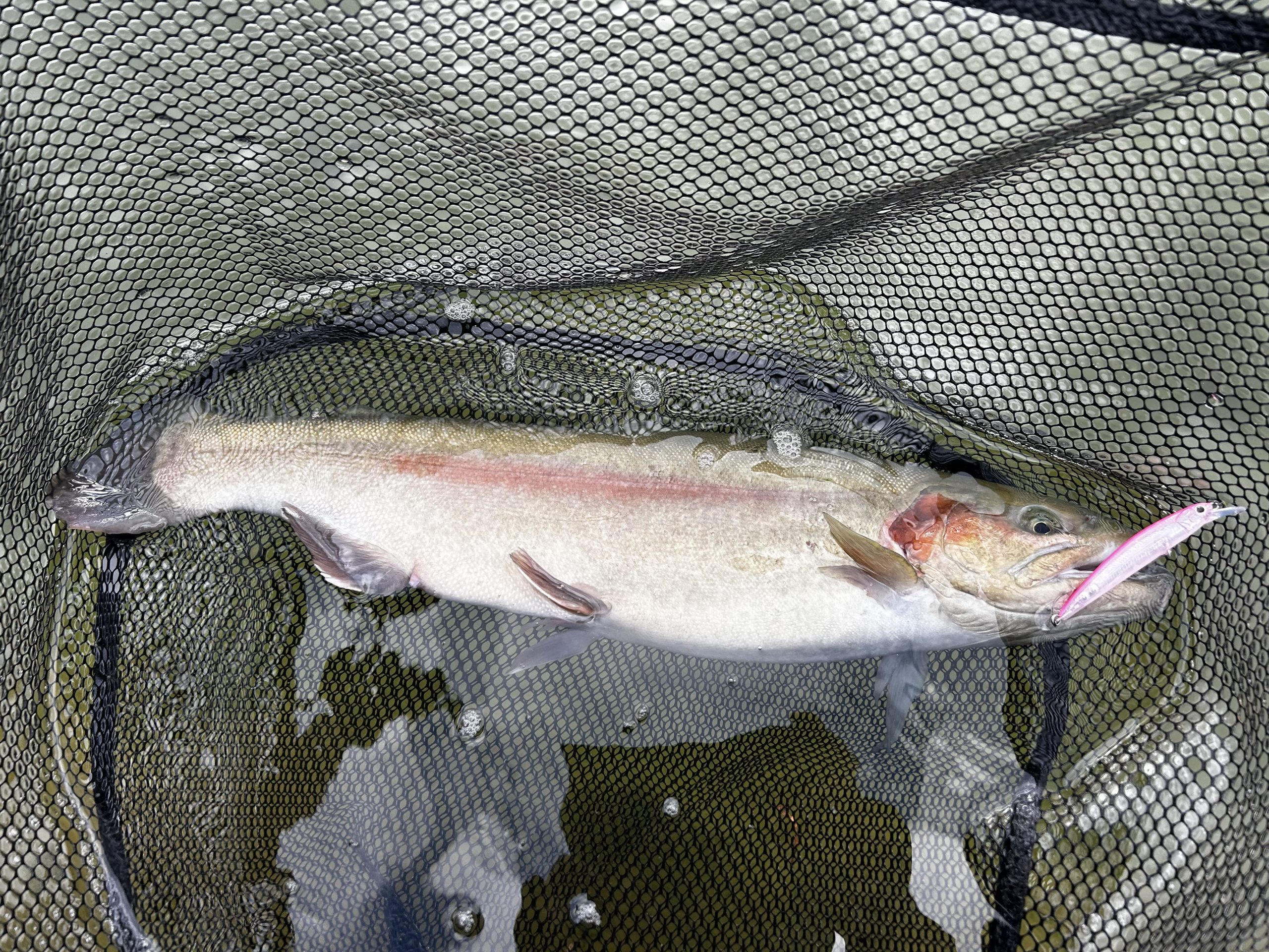 2月13日（金）町田市　から揚げ班長さん